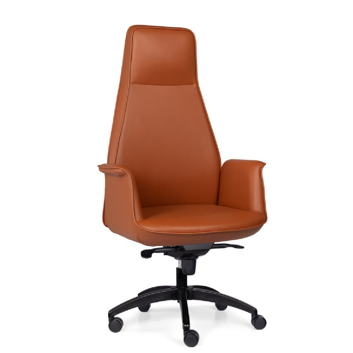 Rita Yönetici Koltuğu